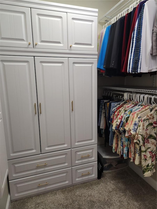 walk in closet with carpet floors