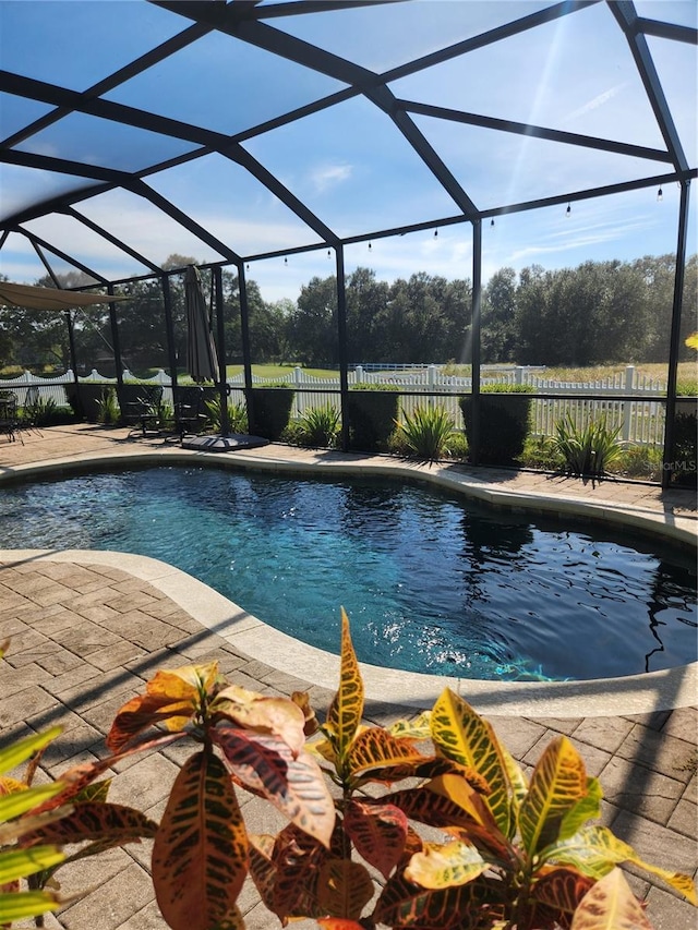 view of pool with a lanai and a patio area