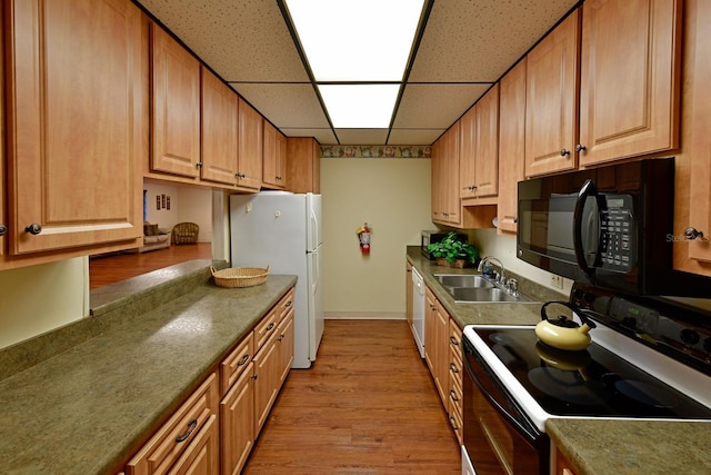 kitchen featuring a drop ceiling, light wood-type flooring, sink, and white appliances