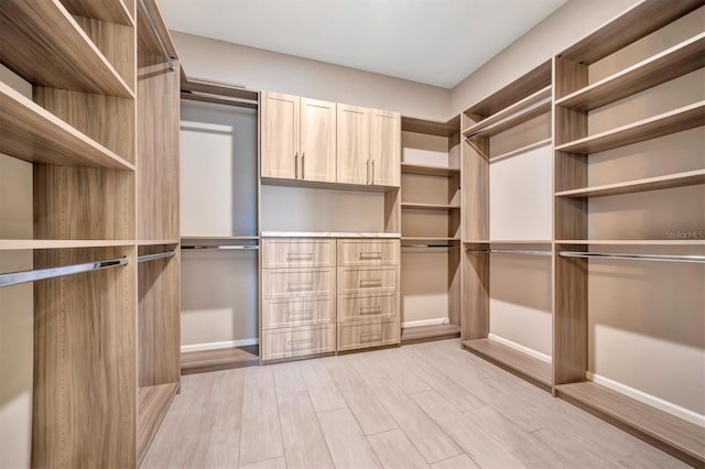 spacious closet featuring light hardwood / wood-style flooring