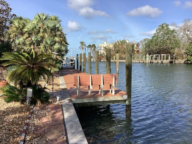 dock area featuring a water view