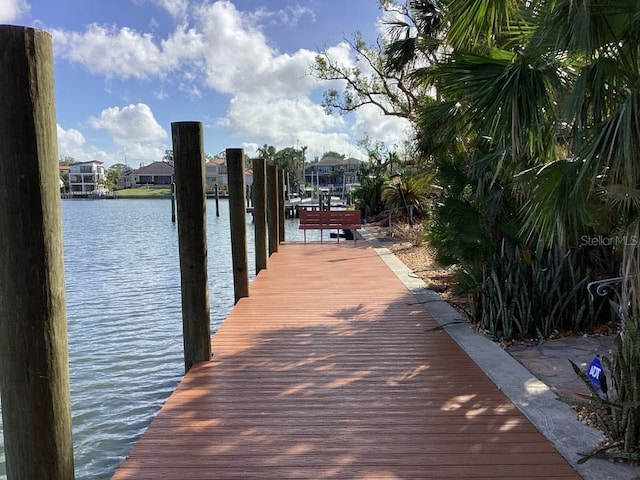 dock area with a water view