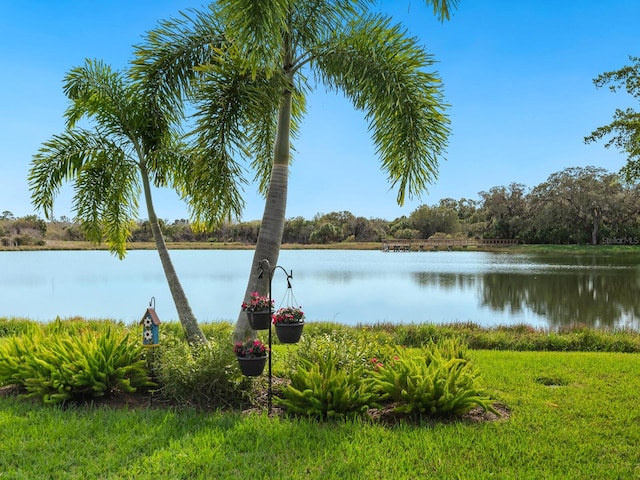 property view of water