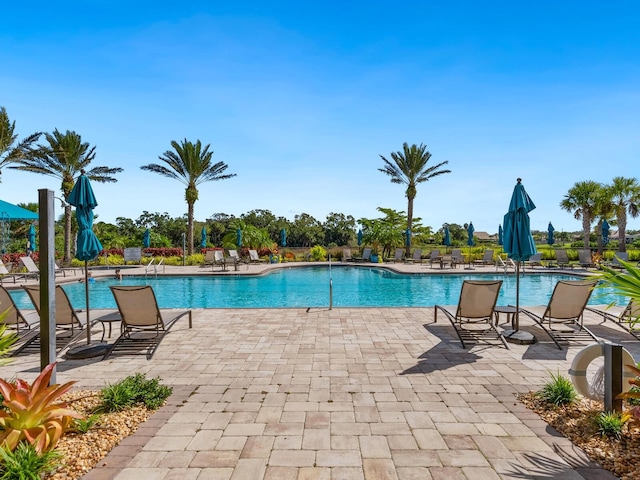 view of pool with a patio