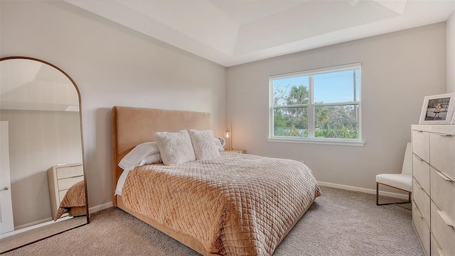 carpeted bedroom featuring a tray ceiling