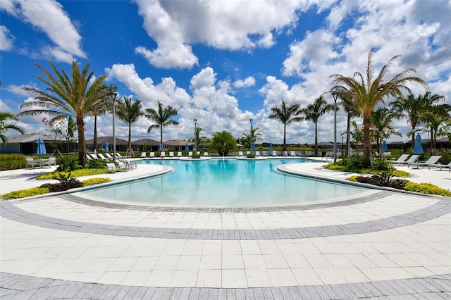 view of pool with a patio