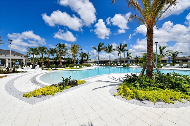 view of pool with a patio area