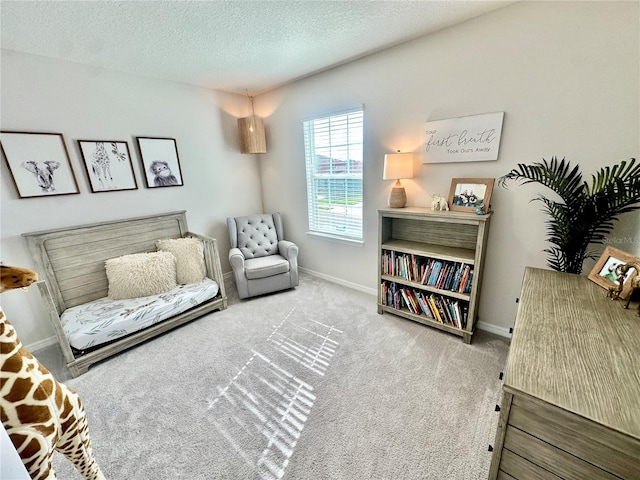 living area with carpet flooring and a textured ceiling