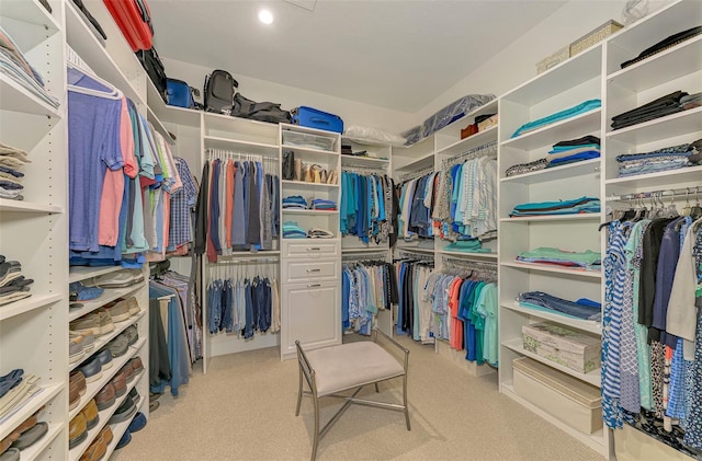 spacious closet with light colored carpet