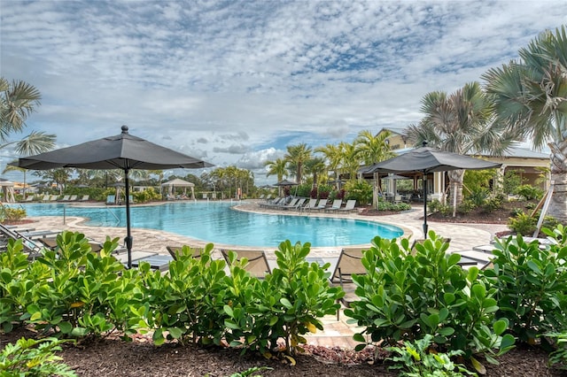 view of pool with a patio