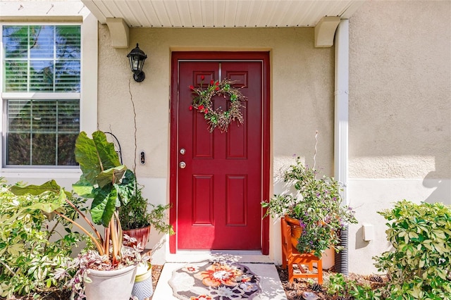 doorway to property with stucco siding