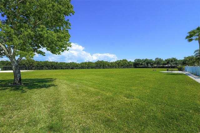 view of yard