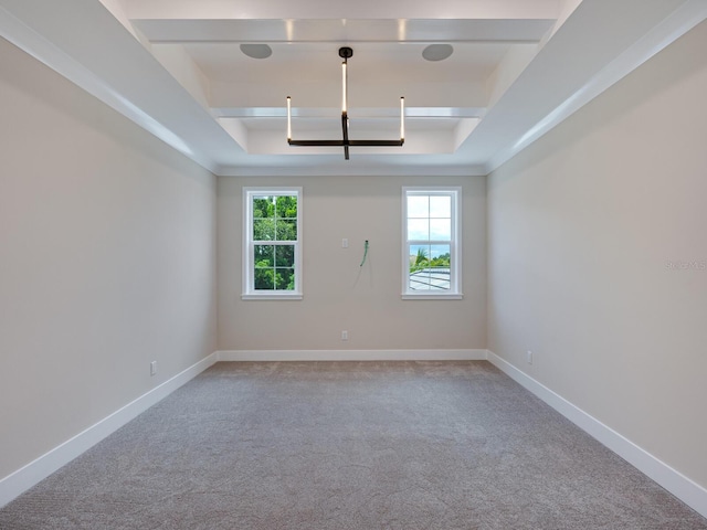 carpeted spare room featuring a raised ceiling