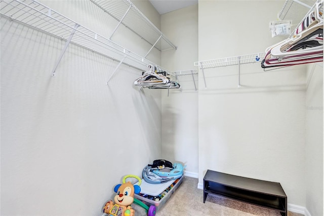 walk in closet featuring carpet floors