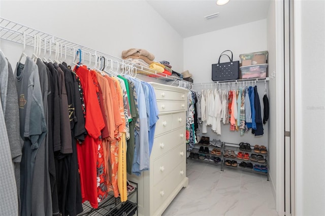 view of spacious closet