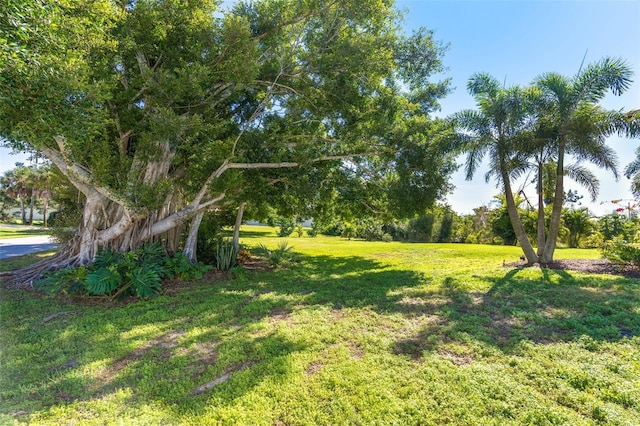 85 Spaniards Rd, Placida, FL 33946 - view of grassy yard