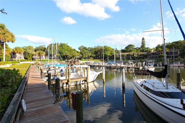 dock area with a water view