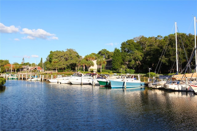 view of water feature with a dock