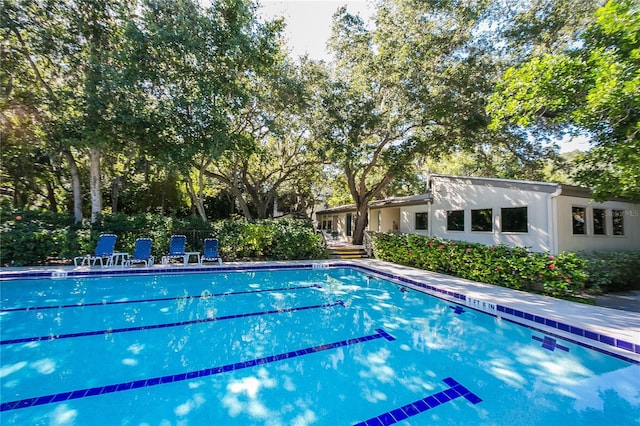 view of swimming pool