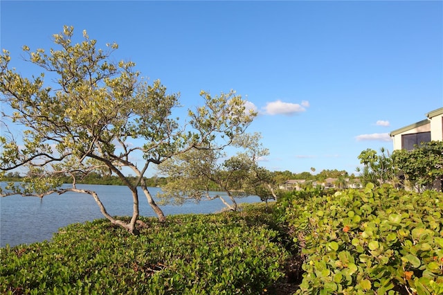 property view of water