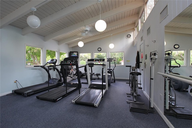 exercise room featuring high vaulted ceiling