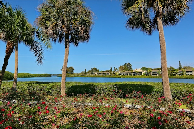 view of water feature