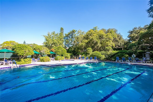 view of pool