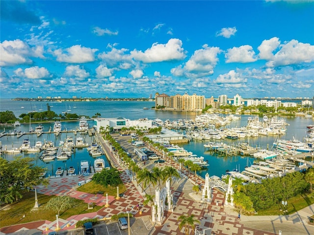 bird's eye view of numerous boat docks and a large body of water