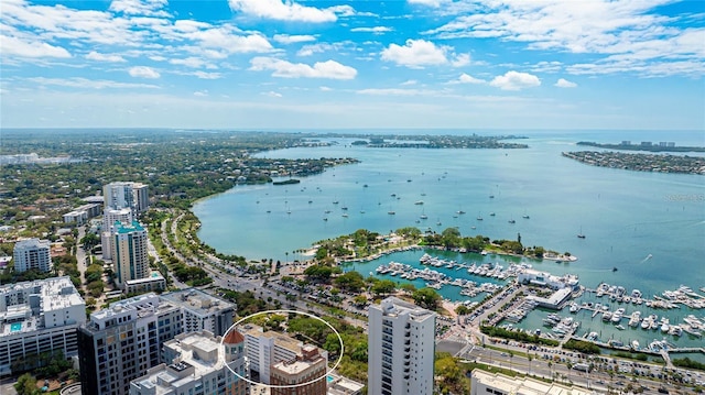 view of urban area with a large body of water and numerous boat docks