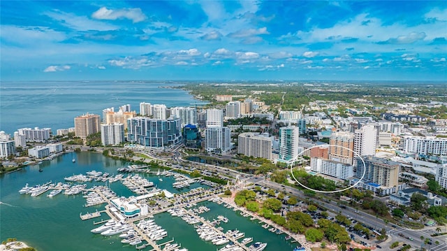 view of urban area featuring numerous boat docks and a large body of water