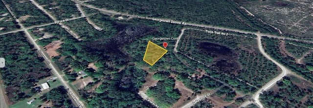 148 S Georgetown Point Rd, Georgetown FL, 32139 land for sale