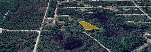 Listing photo 3 for 148 S Georgetown Point Rd, Georgetown FL 32139