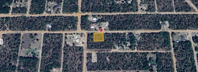 Adrian Ave, Interlachen FL, 32148 land for sale