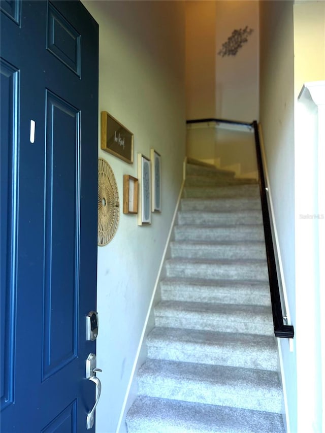 staircase featuring carpet