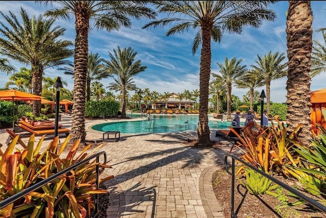 view of pool with a patio