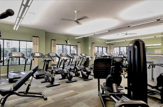 exercise room with ceiling fan and a healthy amount of sunlight