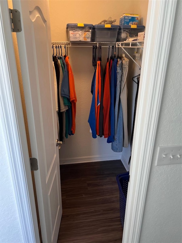 spacious closet featuring dark wood-type flooring