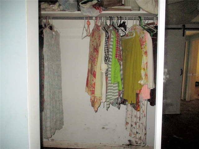 view of closet