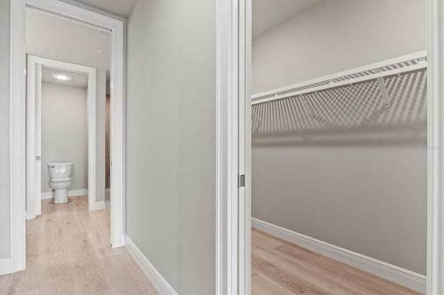 corridor featuring light hardwood / wood-style flooring