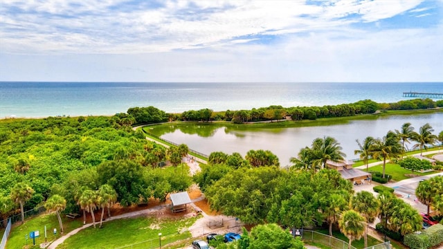 drone / aerial view with a water view