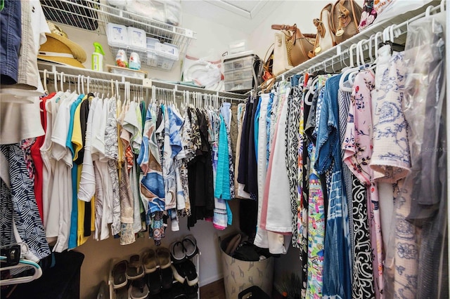 view of spacious closet