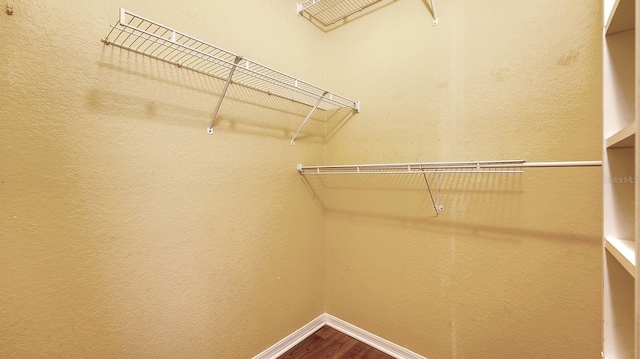 spacious closet with wood-type flooring