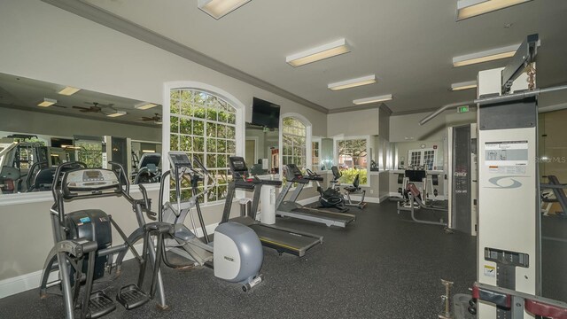 4134 Central Sarasota Pkwy Unit 1734, Sarasota, FL 34238 - exercise room featuring ornamental molding, a ceiling fan, and baseboards