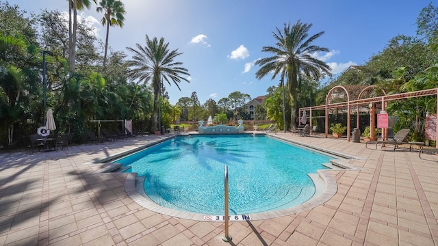 view of swimming pool with a patio area