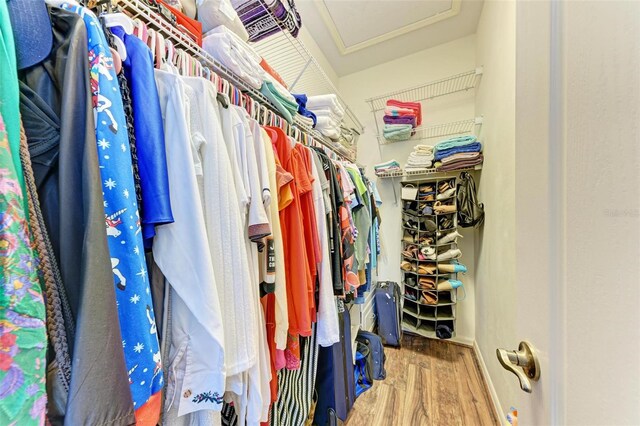 spacious closet with hardwood / wood-style flooring