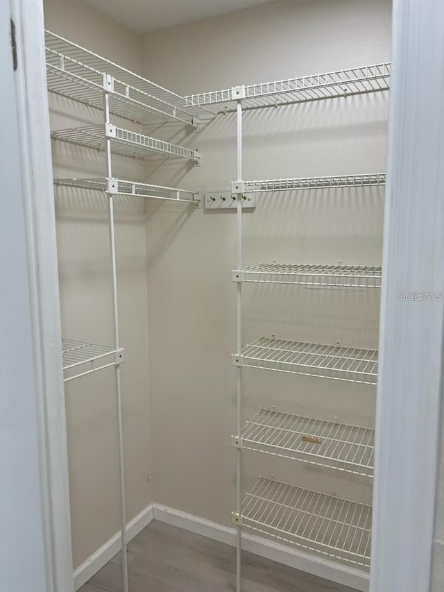 walk in closet with wood-type flooring