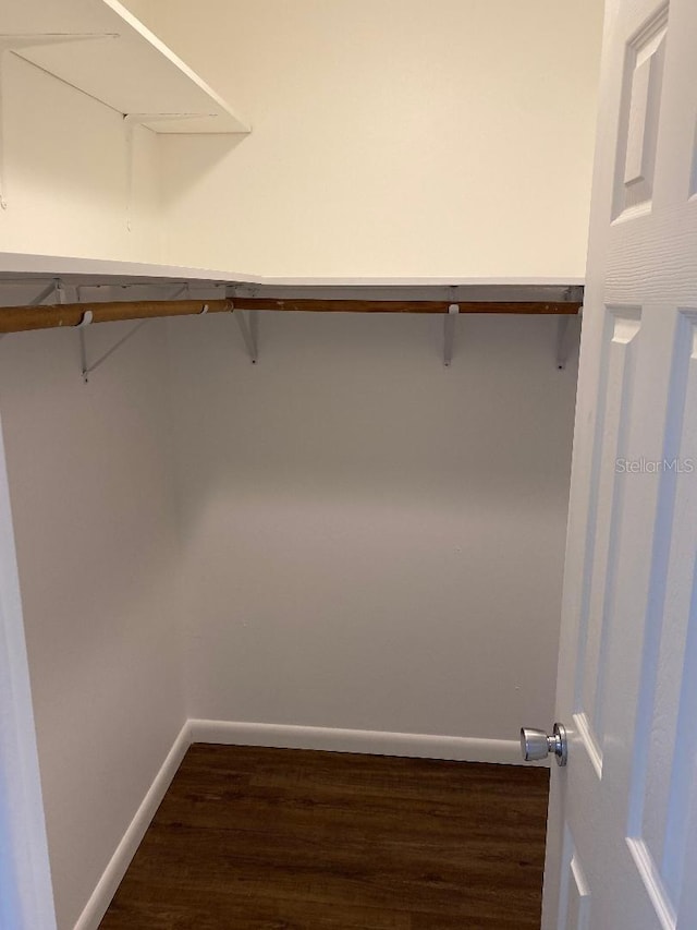 spacious closet featuring dark wood-type flooring