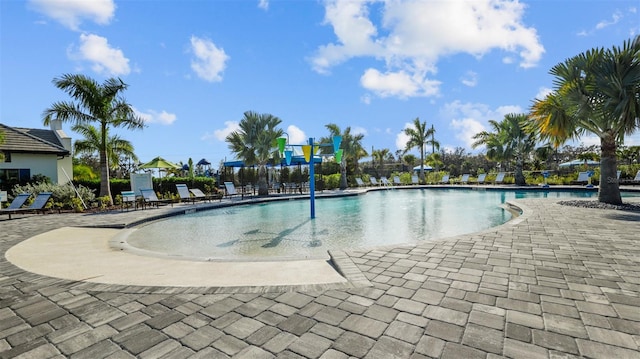 view of pool with a patio