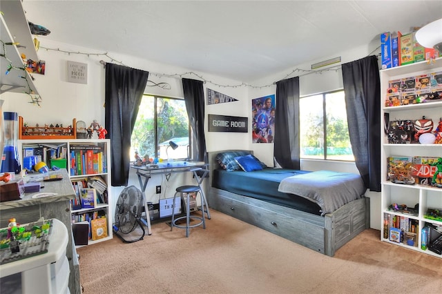 bedroom with multiple windows and carpet
