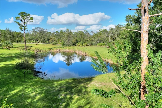 view of water feature